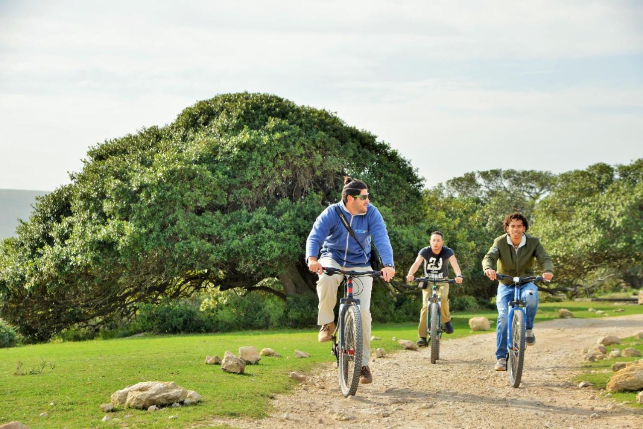 De Hoop Collection - Equipped Cottages De Hoop Nature Reserve Eksteriør billede