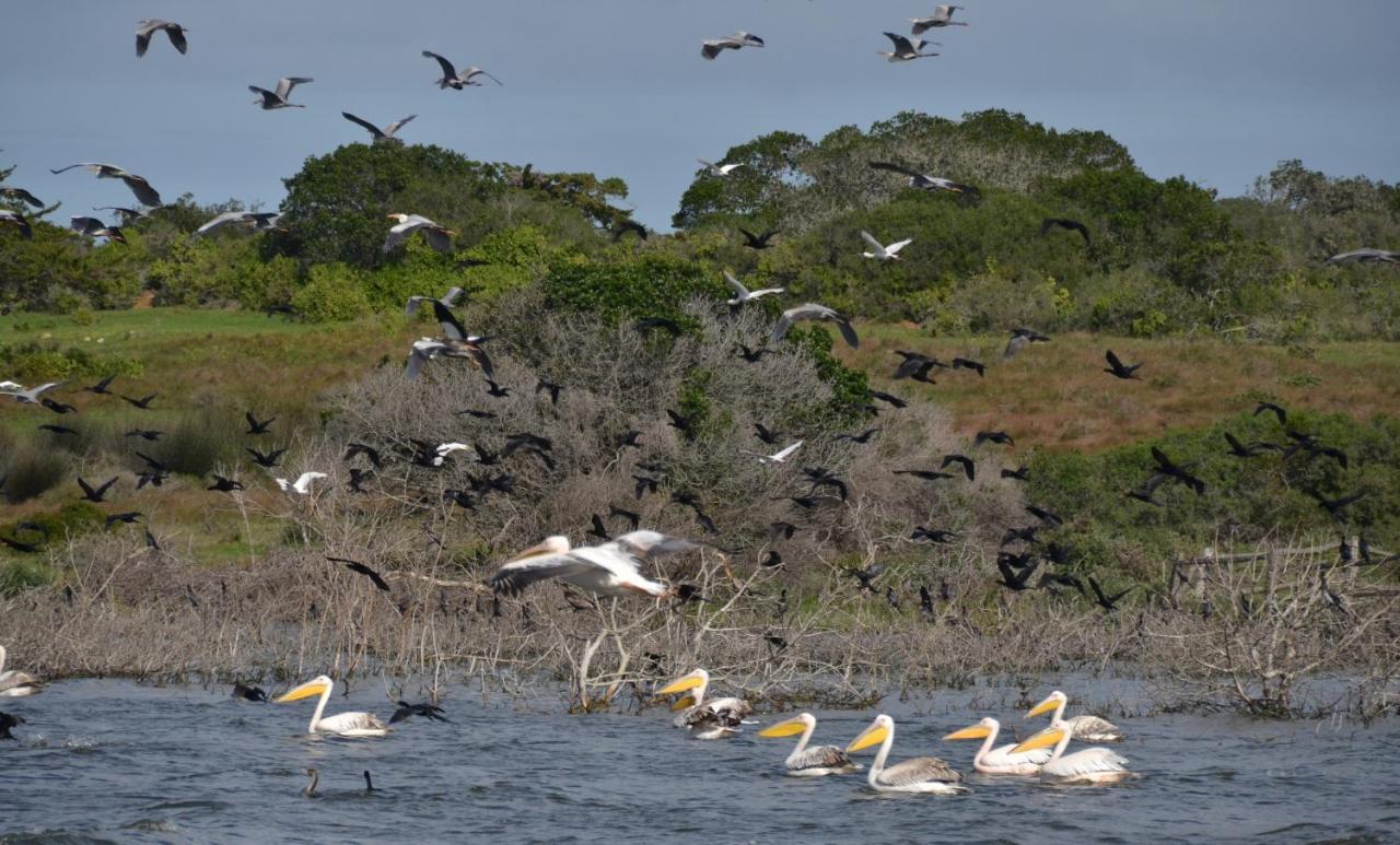 De Hoop Collection - Equipped Cottages De Hoop Nature Reserve Eksteriør billede